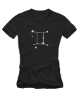 Zodiakas Dvyniai